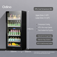 Réfrigérateur à vin à compresseur double zone, armoire à vin à refroidissement par air, sans givre, pour la maison, le bar ou le bureau