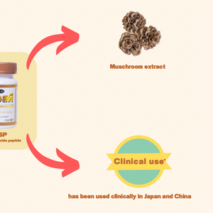 Péptido de polisacárido de setas, 60 cápsulas, suplemento PSP, suplemento dietético, extracto de hierbas de calidad japonesa cultivado en estado silvestre - Product Image 4