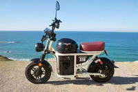 Klasik Retro Şişman Lastikli Elektrikli Bisiklet Geniş Kalın Lastikler Konforlu Şık E-Bisiklet Yeni Enerji E-Scooter Fabrika Direkt Tedarik