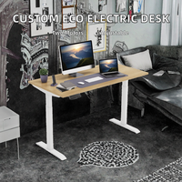 Bureau Moderne Électrique Réglable en Hauteur avec Moteur Unique et Cadre en Fer pour Bureau à Domicile