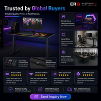 Bureau de jeu électrique extensible en bois RGB, réglable en hauteur, avec gestion des câbles, OEM ODM