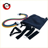 Ensemble de bandes de résistance progressives 150lb 200lbs 250lbs Bandes de résistance pour exercices avec poignées 5 ensembles Bandes de fitness tubulaires