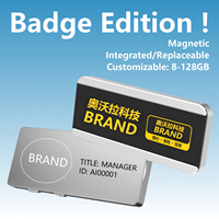 Stylo Enregistreur Vocal IA, Badge Magnétique Numérique pour Employé, Carte de Travail, Enregistrement Continu 16H, Alliage d'Aluminium