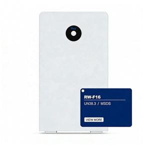 Batería de Almacenamiento de Energía de Litio de Bajo Voltaje Deye RW-F16, 51.2V 314Ah 16.07kwh, Batería LiFePO4 para Uso Doméstico - Product Image 1