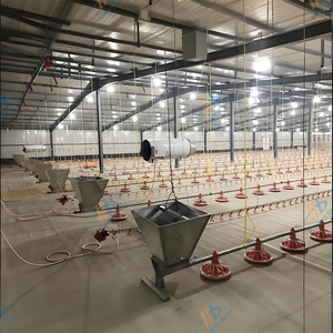 Miễn phí-phạm vi tầng nâng cao tự động hệ thống cho ăn gà thịt gà Pan trung chuyển dòng để bán - Product Image 1