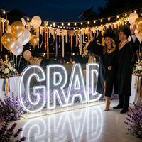 Lampes LED néon portables en acrylique de 60 cm, 90 cm, 120 cm, numéros et lettres à piles pour événements extérieurs, propositions de mariage et fêtes de fiançailles