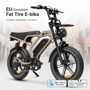 Bicicleta eléctrica urbana QMHEEL V20 Limited 48V con batería de litio, bicicleta de montaña eléctrica con neumáticos gruesos, Ebike, Italia, almacén en la UE, venta al por mayor B2B - Product Image 1