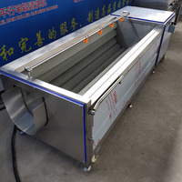 Automatische Groente-en Borstel Wasmachine Palm Datum Apple Schoonmaken Gember Dunschiller Aardappel Wasmachine Prijs