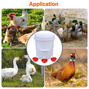 Abreuvoirs automatiques pour poulets, DIY, avec trou de 3/8'' pour seau, abreuvoir, <span class=keywords><strong>tuyau</strong></span> <span class=keywords><strong>PVC</strong></span>, livraison rapide - Product Image 6