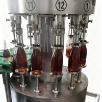 Remplisseuse rotative à contre-pression automatique pour machine d'embouteillage de vin de raisin avec mise en conserve de liquide