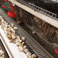 Système et équipement de cages en batterie entièrement automatiques de haute qualité pour l'élevage commercial de 100 000 cailles – Poulailler pour cailles
