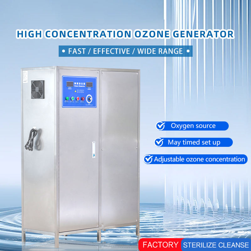 QLOZONE Large 200g Ozone Generator for Aquaculture Wastewater Treatment ...
