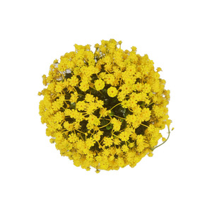 Boule de fleurs artificielles en plastique de haute simulation pour décorations de mariage - Product Image 4