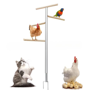 Personalizar grandes perchas <span class=keywords><strong>de</strong></span> pollo juguetes <span class=keywords><strong>de</strong></span> <span class=keywords><strong>madera</strong></span> y Metal percha <span class=keywords><strong>de</strong></span> pollo soporte <span class=keywords><strong>para</strong></span> aves <span class=keywords><strong>de</strong></span> corral Gallo pollitos pájaros grandes pollitos loro - Product Image 3
