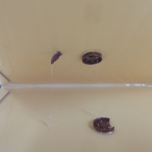 Plaques collantes pour souris, adhésif puissant, attrape-rongeurs pour la maison - Product Image 4