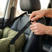 Siège de voiture pour animaux de compagnie de luxe, portable, avec ceinture de sécurité amovible, housse imperméable, pour chiens et chats, siège rehausseur pour voyages et extérieur