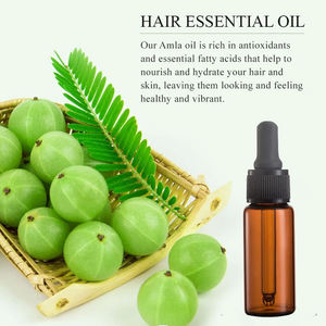 Huile d'<span class=keywords><strong>Amla</strong></span> Pure et Naturelle, Huile Végétale Idéale pour les Soins Capillaires, Vente Chaude, Prix de Gros Direct Usine, Service OEM Accepté - Product Image 3