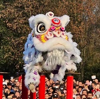 Danse du lion chinois traditionnelle sur mesure pour deux personnes adultes, pour spectacle de festival de Noël, en soie/coton/EVA, faite à la main