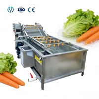Automatische continue fruit- en bladgroente-wasmachine met luchtbellen, hogedruksproeier voor vis en zeevruchten
