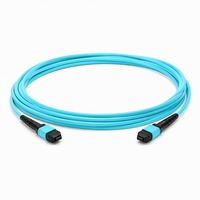 Câble Trunk Multimode MPO vers MPO 12 et 24 fibres OM4 OM5 LSZH pour Centre de Données