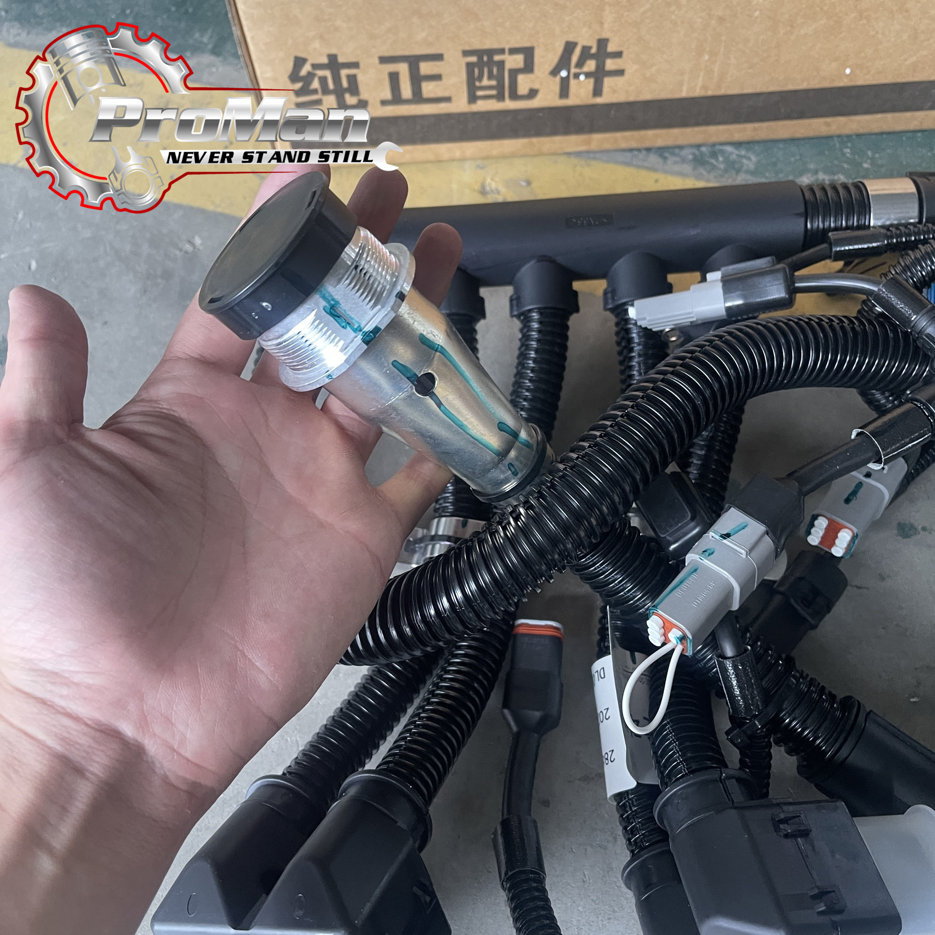 2864514X ECU Wiring Harness 4952746 2864514X Qsm ISM M11