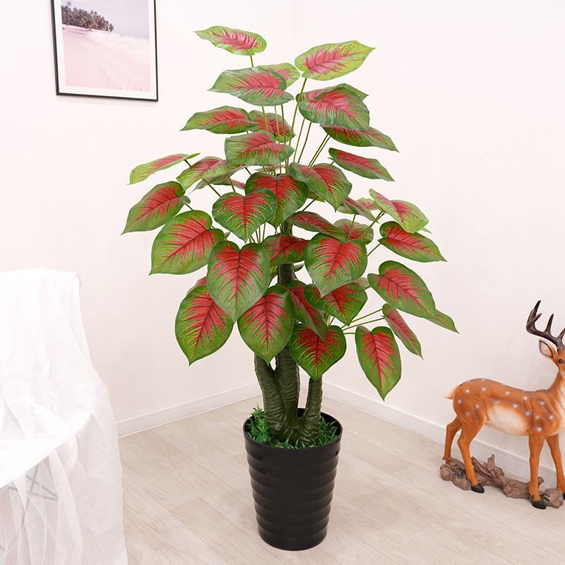 140 cm/taro con nucleo rosso