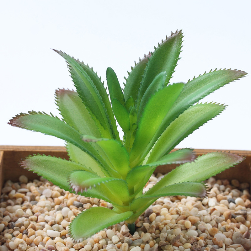 Piña Verde