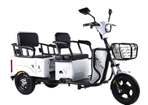รถสามล้อโดยสาร 1000 วัตต์ ราคาถูก แบบเปิดโล่ง 3 ล้อ ขนาดเล็ก - Product Image 2