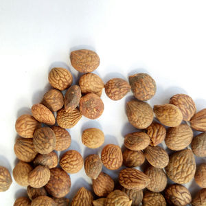 Noix de Prinsepia de Chine Rui Ren, Nux Prinsepiae, en vente - Product Image 3