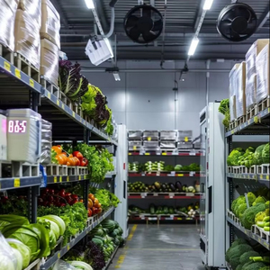 Kết cấu thép tòa nhà kho lạnh cho y học, rau và trái cây với thiết kế tùy chỉnh và hệ thống cách nhiệt - Product Image 3