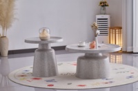 Table basse moderne minimaliste en fer avec plateau en métal durable et pieds avec revêtement en poudre pour le mobilier de salon