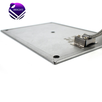 Plaque chauffante électrique BRIGHT perforée 151,5*221,5 mm 220V 700W en mica et acier inoxydable