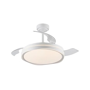 42 Silver <b>Ceiling</b> Fan Modern Retractable <b>Ceiling</b> Fan DC Motor <b>Ceiling</b> Fan with <b>Remote</b> <b>Control</b> - Product Image 1