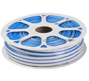 Fournisseur professionnel de néons LED, offrant des tailles et des logos personnalisables, indice de protection IP65, 12V, garantie de 3 ans, néons en gros - Product Image 1