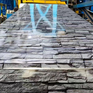 Usine bas prix 3D grain de bois finition aspect bois bobine Ppgi bobine de tôle d'acier galvanisée prépeinte - Product Image 6