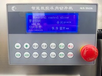 Nouvelle conception, machine à découper et à trancher la viande congelée industrielle automatique, très vendue