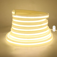 Bande LED flexible FPC Cob 220V 10mm 10W/M, étanche IP65, blanc chaud, CRI 90, contrôle tactile, USB, éclairage intérieur