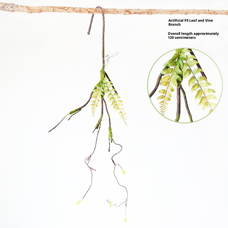 10#  SimulationPELeaf Rattan