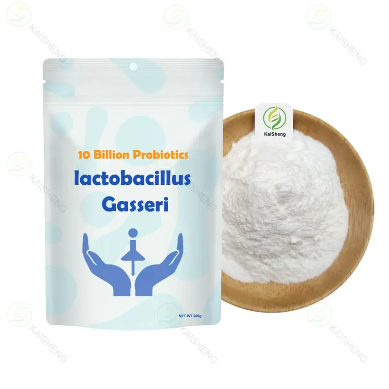 Großhandel Massenprobiotika gefriert getrocknete Lactobacillus Gasseri Pulver Lactobacillus Gasseri für für die vaginale Gesundheit
