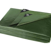 Bâche personnalisée imperméable et isolante en PE enduit, 7x7, légère, résistante au vent, pour jardin et extérieur