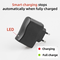Penjualan Langsung Pabrik Eksklusif Charger USB 3W 4.2V/5V Pengisian Cepat Adaptor Dinding untuk Ponsel Kamera Mikrofon Laptop