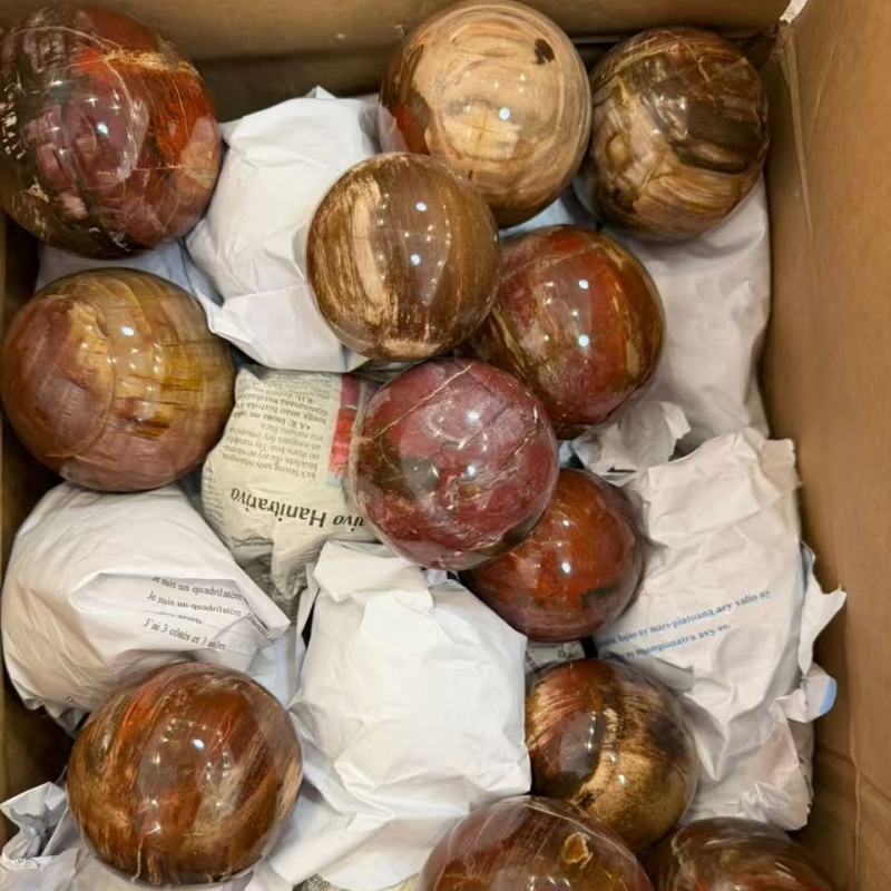 ฟอสซิลไม้