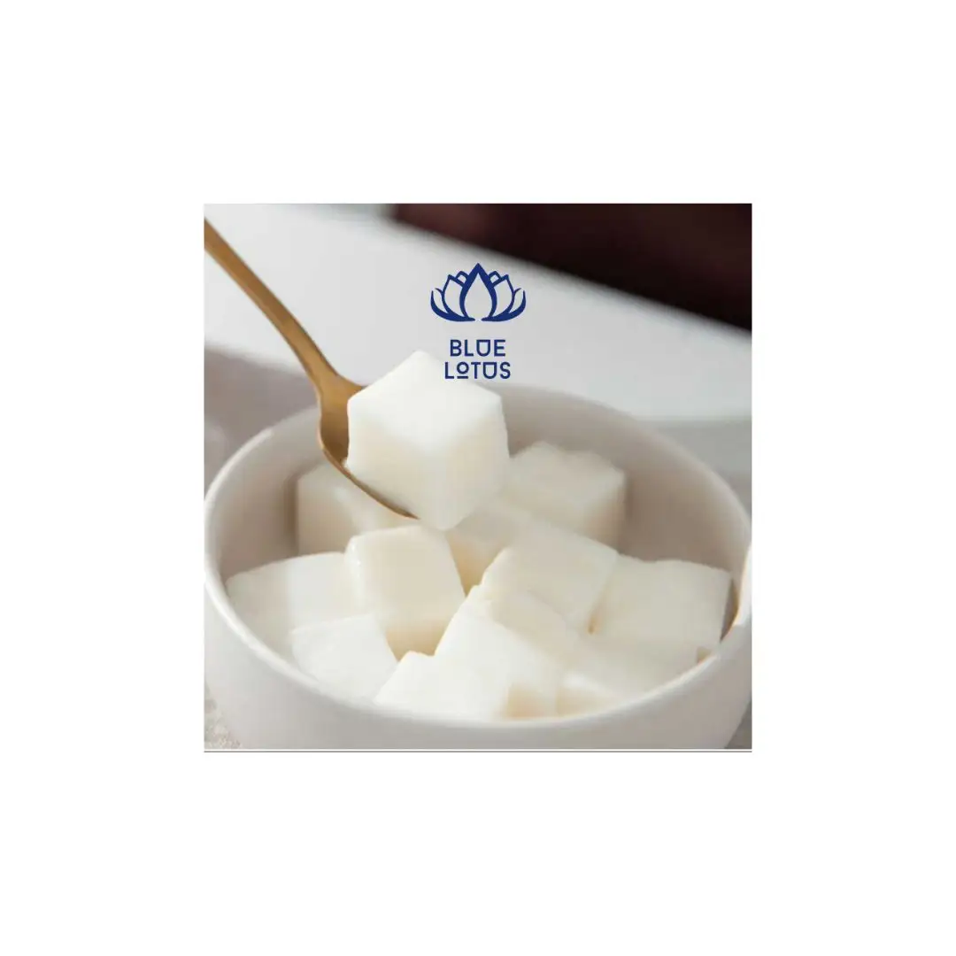 Best offer Superior Quality Exquisite Coconut Jelly Culinary Nata de Coco Cubes Coconut Jelly Coconut Pudding