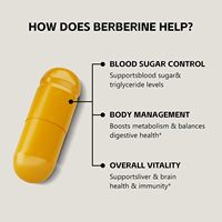 Capsules de Berbérine HCL Naturelle Marque Blanche OEM – Soutien Antioxydant et Énergétique pour la Santé Intestinale et Immunitaire des Adultes – Complément Alimentaire à Base de Plantes