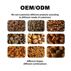 OEM Precio Económico Marca Privada Pura Natural <span class=keywords><strong>Junior</strong></span> Venta al por Mayor a Granel Varias Formas Muestra Gratis Alimento Seco Digestivo <span class=keywords><strong>para</strong></span> <span class=keywords><strong>Gatos</strong></span> - Product Image 3