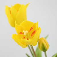 Fleurs de tulipes artificielles en latex faites à la main, 48 cm, toucher réel, haute qualité, pour le Nouvel An, Noël, Thanksgiving, la remise des diplômes, la table de la maison