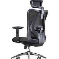 Chaise de bureau ergonomique à dossier haut en maille avec appui-tête et soutien lombaire réglables, pivotante