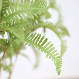Plante artificielle en plastique, longues feuilles de fougère, herbe, 60 cm, haute qualité, réaliste, <span class=keywords><strong>d</strong></span>écorative pour la maison, centre de table de mariage - Product Image 4