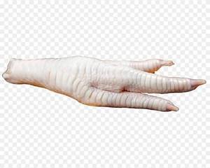 Pattes de poulet congelées de qualité supérieure à prix compétitif, grade A, processus BQF, durée de conservation de 24 mois, vente en gros, emballage en vrac, exportation - Product Image 2
