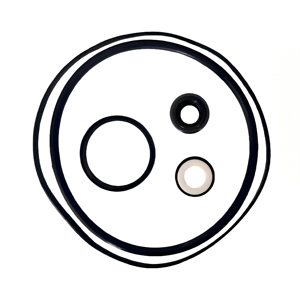 Kit de joints d'étanchéité et d'anneaux toriques SP3000X pour <span class=keywords><strong>pompe</strong></span> de piscine <span class=keywords><strong>Hayward</strong></span> <span class=keywords><strong>Super</strong></span> II, assemblage SPX1600Z2 PS-201 - Product Image 1